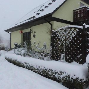 דירות Gelenau Fewo-Schmidt-Im-Erzgebirge Exterior photo