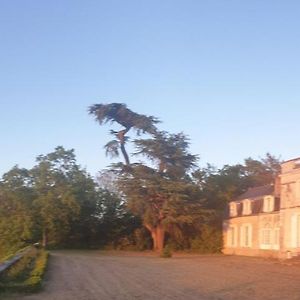 Muides-sur-Loire Chateau De Colliers Exterior photo