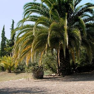 Vespellá Catalunya Casas Rural Charm On An Olive Farm In Costa Dorada! Exterior photo