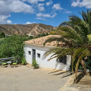 דירות אלבוקס Casa Tropical, Serene Poolside Retreat In Nature Exterior photo