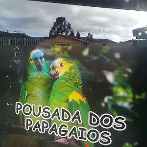 בום ז'רדים דה סרה Pousada Dos Papagaios Exterior photo