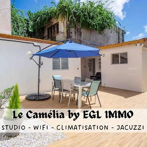 דירות לה למנטין Le Camelia - Gite "Terre Et Truffes" Exterior photo