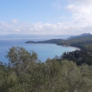 מלון Porquerolles - Nuit Insolite A Bord Du Defi Fou Exterior photo