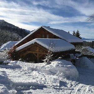 לינה וארוחת בוקר Habère-Poche Le Chalet De Doucy Bardet Exterior photo