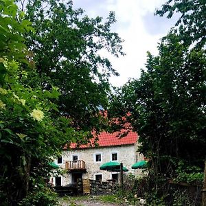 טת Guesthouse Kujtimi Exterior photo