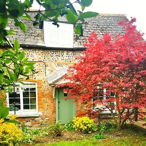 Shrewton Historic, Traditional & Spacious Wiltshire Cottage Exterior photo