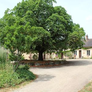 Le Plessis-Dorin Gite Des Etangs De Beaulieu Exterior photo