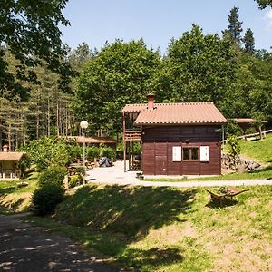 דירות Leintz-Gatzaga Gaztainuzketa Mendi Etxeak Exterior photo