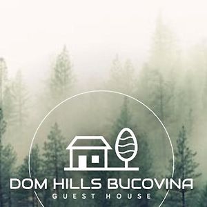 מלון גורה הומורולווי Dom Hills Bucovina Exterior photo