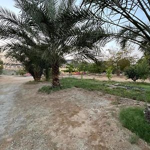 הוילה האטה Wadi Alsidra Exterior photo