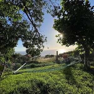 מלון אויה Aloxamento A Marina Exterior photo