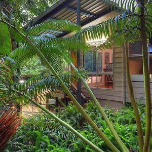 אגם איצ'אם Chambers Wildlife Rainforest Lodges Exterior photo