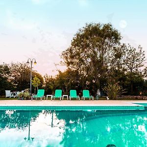 קיפריסיה Beachfront Luxury Villa-Private Pool,Garden Heaven Exterior photo