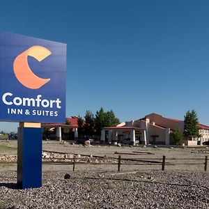 Comfort Inn & Suites אלאמוסה Exterior photo