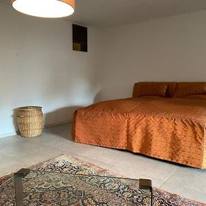Nußloch Grosszugiges Design Komfort-Appartement 60 Qm Exterior photo