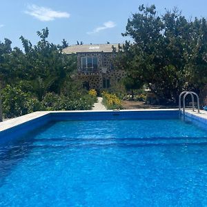 באקו Garden View Seaside Guesthouse With Airport Transfer Exterior photo