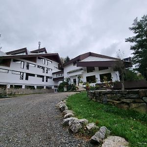 מלון Văliug Randunica Exterior photo