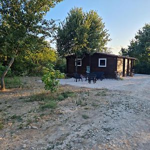 הוילה Martignargues Pons Family Exterior photo