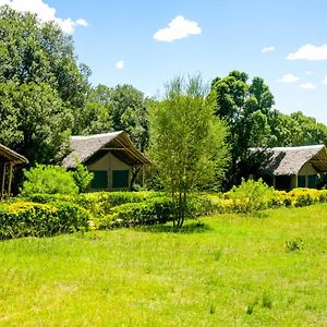 מלון מסאי מארה Giraffe Hills Mara Camp Exterior photo