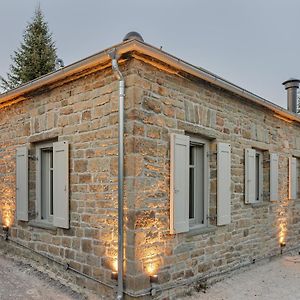 הוילה Elliniko  Lozart Traditional Stone House Exterior photo