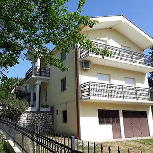 הוילה Danilovgrad Vila Frutak Exterior photo