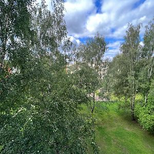 ילגבה Birch View Apartment Exterior photo