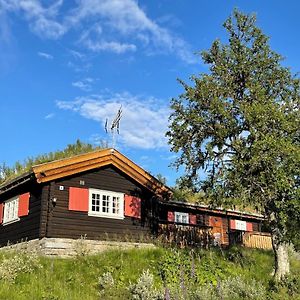 הוילה Lunde  Elveseter - Log Cabin With An Amazing View Exterior photo