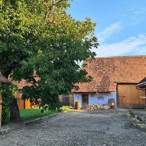 Bunesti Haus Rether - Transylvanian Guesthouse Exterior photo