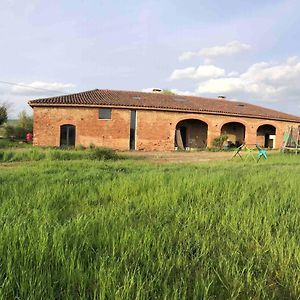 Buzet-sur-Tarn Appartement 4 A 6 Pers Entre Toulouse Et Albi Exterior photo