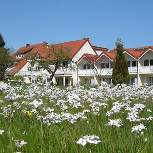 מלון באד דריבורג Gaestehaus Steker Exterior photo