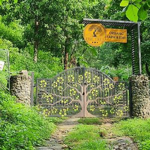 Mannarakkat The Tree Organic Farm And Stay - Non Alcoholic Property Exterior photo