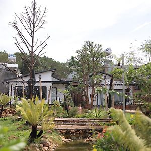 פלייקו Homestay Ho Dong Exterior photo