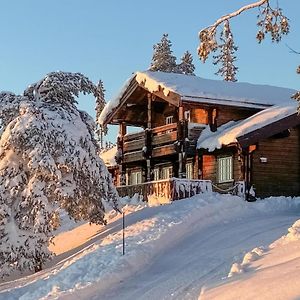 Kyrkjebygdi Pet Friendly Home In Nissedal With Wifi Exterior photo
