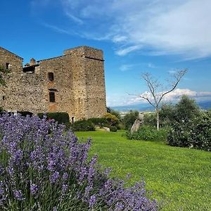 הוילה Montelagello Medieval Tower In Umbria With Swimming Pool Exterior photo