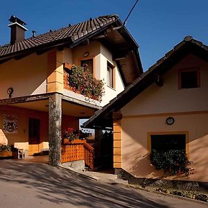 Houses And Apt In Smarjeske Toplice Kranjska Krain 26042 Exterior photo