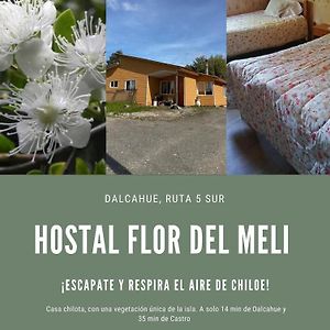 לינה וארוחת בוקר דלקהוי Hostal Flor Del Meli Exterior photo