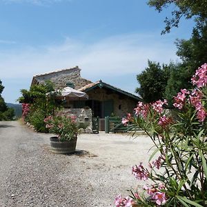 לינה וארוחת בוקר Durban-Corbieres Bergerie Balbonne Exterior photo