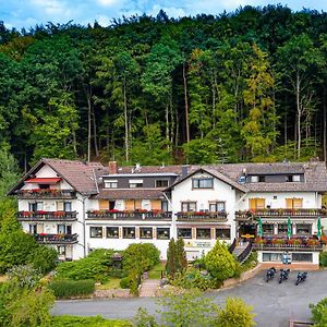 Rohrbach  Gasthof-Hotel Laermfeuer Exterior photo