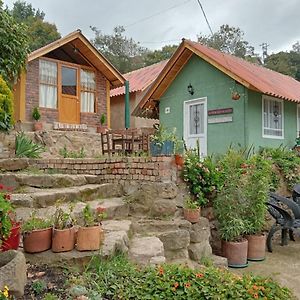מונגי Hospedaje - Cabanas Villa Rosita Exterior photo