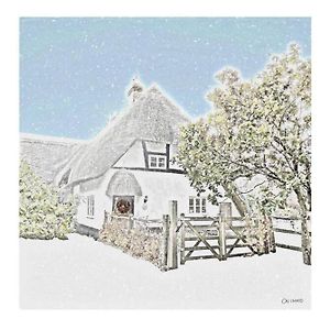 סטוקברידג' Delightful 3Bed Thatched Cottage Exterior photo