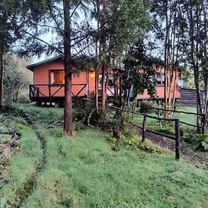 בית הארחה פוארטו מונט 	Casa O Habitacion En Carretera Austral Exterior photo