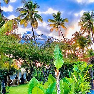 הוילה Saint-Pierre Majo Lounge Dans Un Jardin Tropical A 5 Min De La Mer Caraibe Exterior photo