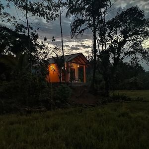 הוילה Mederipitiya Sinharaja Cabana Exterior photo