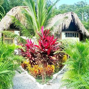 Guachaca Encanto Hostel Exterior photo