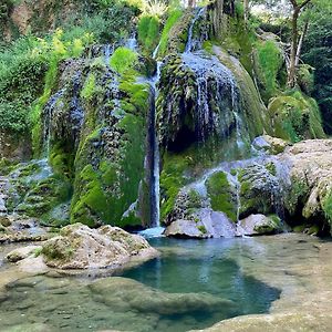 לינה וארוחת בוקר Campuac Les Monts D'Amara, Ressourcement, Nature, Sante Exterior photo