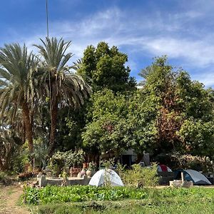 מלון אסואן Salatoos Mango Camp Exterior photo