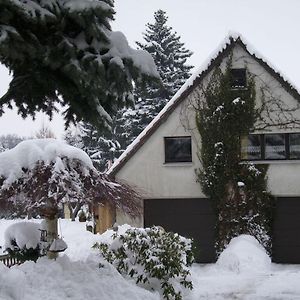 Neufriedersdorf Apartment At The Knappensee In Gross Saerchen Exterior photo