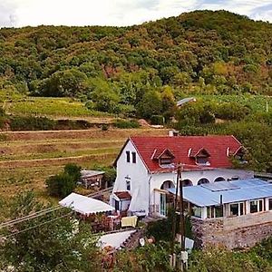 Somloszolos Inhauser Pinceszet&Guesthouse&Restaurant Exterior photo