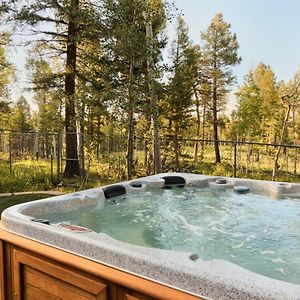 Divide Spacious Family Cabin At Cedar Mountain W Hot Tub Exterior photo