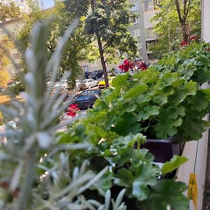 Flowers Apartment טוזלה Exterior photo